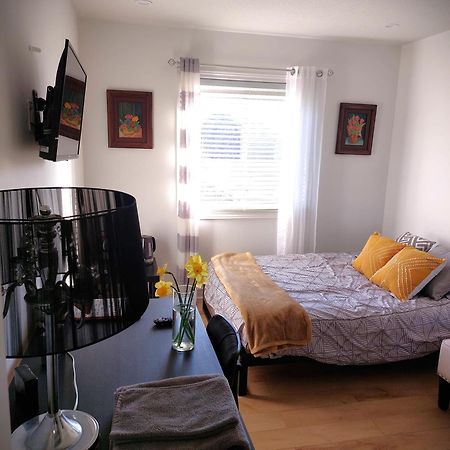 Nimo Homestay Guelph Ngoại thất bức ảnh